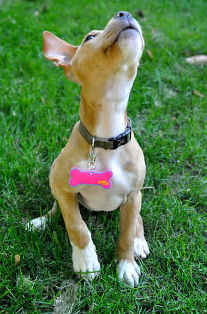 bangor lesbian dating site Bangor's best 100% free lesbian dating site connect with other single lesbians in bangor with mingle2's free bangor lesbian personal ads place your own free ad and view hundreds of other online personals to meet available lesbians in bangor looking for friends, lovers, and girlfriends open your free online dating account and get immediate access to online lesbian personals for bangor. bangor lesbian dating site Bangor's best 100% free lesbian dating site connect with other single lesbians in bangor with mingle2's free bangor lesbian personal ads place your own free ad and view hundreds of other online personals to meet available lesbians in bangor looking for friends, lovers, and girlfriends open your free online dating account and get immediate access to online lesbian personals for bangor.